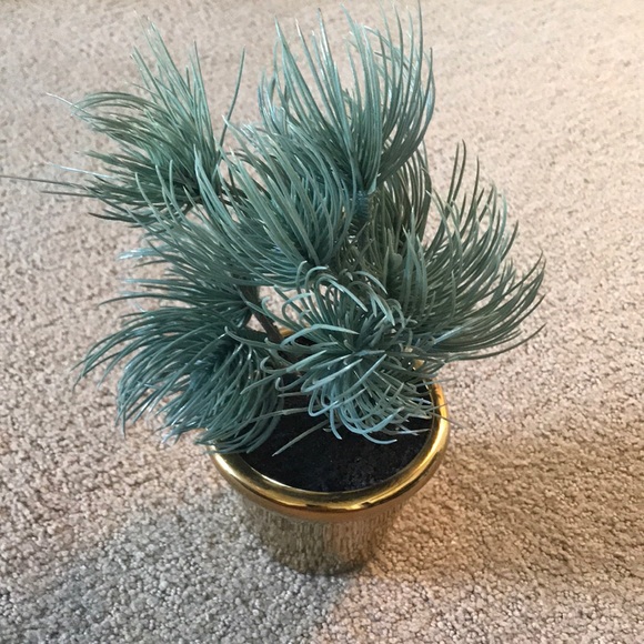 CB2 Accents Cb2 Faux Plant Poshmark